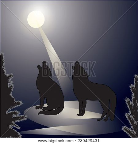 Wolves Howl At The Moon Night Forest Landscape Art Abstract Creative Modern Illustration Vector