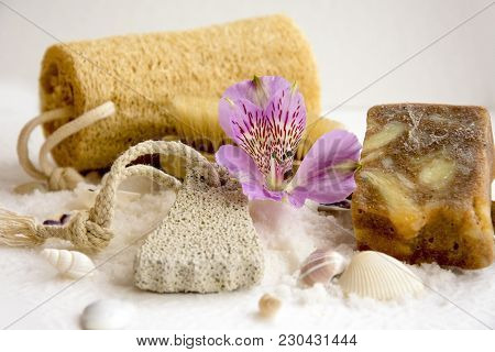 Sea Salt Crystals For Bathroom, Pumice, Luff,  Alstroemeria Flower, Body Brush, Shells, Handmade Soa
