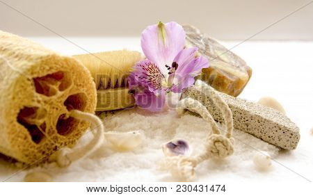 Sea Salt Crystals For Bathroom, Pumice, Luff,  Alstroemeria Flower, Body Brush, Shells, Handmade Soa
