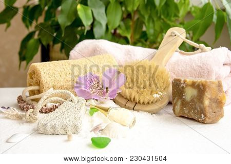 Sea Salt Crystals For Bathroom, Pumice, Luff,  Alstroemeria Flower, Body Brush, Shells, Handmade Soa
