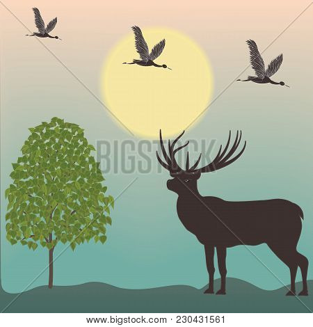 Landscape Early Morning Deer Fly Shadoof Deciduous Tree Art Creative Modern Illustration Vector