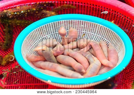 Urechis Unicinctus At Fish Market In Jagalchi In Busan, South Korea
