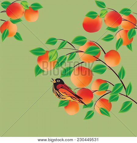 Branch With Apricot Peach And A Small Bright Bird On The Background Light Creative Art Abstract Mode