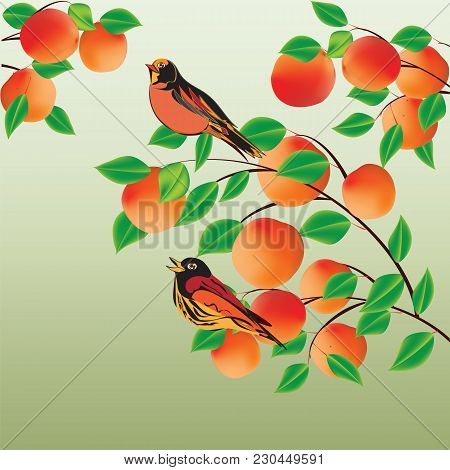 Branch With Apricot Peach And Two Bright Bird On Light Creative Background Abstract Modern Vector