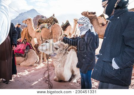 Wadi Rum, Jordan - December, 25, 2017: Tourists And Bedouins Near Camals In Wadi Rum Desert In Jorda