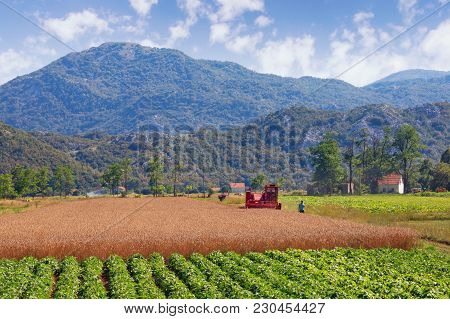 Agricultural Works On The Fields In The Valley Of The Dinaric Alps On A Sunny Summer Day.  Bosnia An