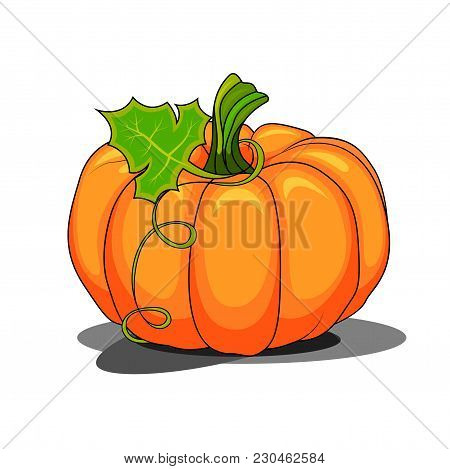 Cartoon Pumpkin With A Leaf, Isolated On White Background