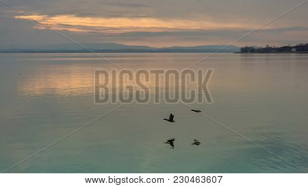 Two Burds Flyoing Lkow Over A Lake