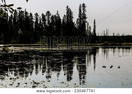Twin Lake, Crimson Lake Provincial Park, Alberta, Canada
