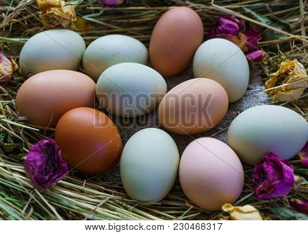 Fresh Rustic White-blue And Brown Chicken Eggs Of Araucan Chickens.