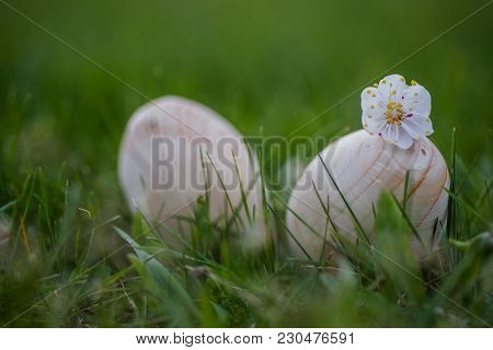 Two White Wooden Easter Eggs With A Branch Of Apricot In Green Grass. Easter Background. Search For 