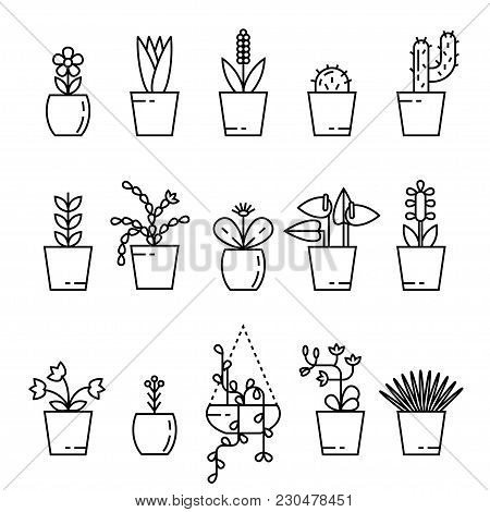 Set Of House Plant Isolated Vector Flat Illustration. Outline House Plants In Pot.