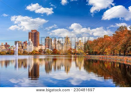 New York, New York at central park in autumn season.