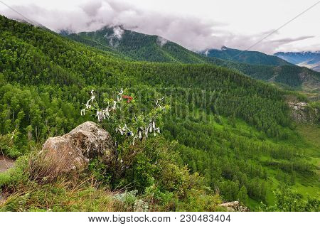 Stone And Bush, Hung With Ribbons Against The Landscape Of A Mountain Valley. Chike-taman Road Pass,