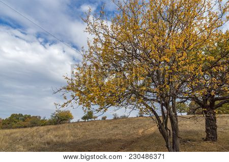 Autumn Panoramic View Of Cherna Gora Mountain, Pernik Region, Bulgaria