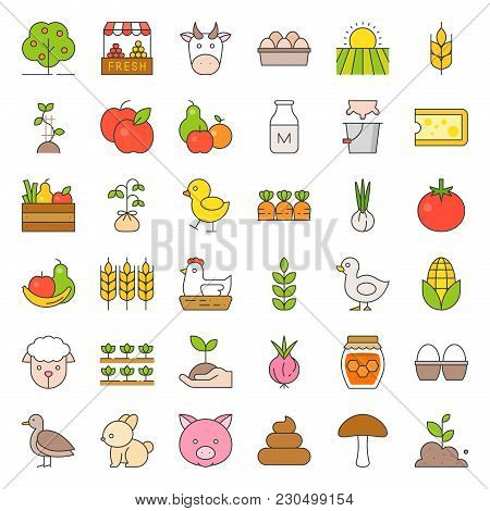 Organic Farming Products Icon, Such As Hen, Milk, Orange, Tomato, Honey, Sheep, Eggs, Filled Outline