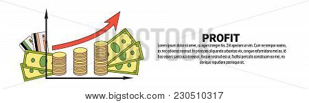 Profit Money Growth Finance Success Business Concept Horizontal Banner With Copy Space Vector Illust