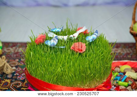 Novruz National Azerbaijan Holiday Spring New Year Celebration Concept, Wheat Grass Semeni . A Semin