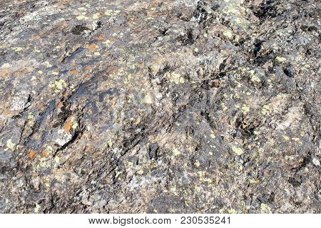 Rock Background Full Of Lichens In A Compsoition