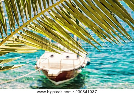 Beautiful Palm Tree And Little Boat In Maslinica, Solta Island, Croatia. Summer Vacation Destination