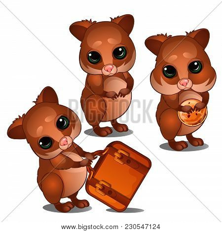Little Hamsters Isolated On White Background. Vector Cartoon Close-up Illustration.