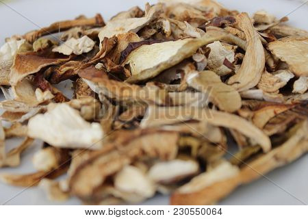 Photo Of White Mashrooms, Porcini Mashrooms For Your  Cooking Site. Fragrant And Delicious Mushrooms