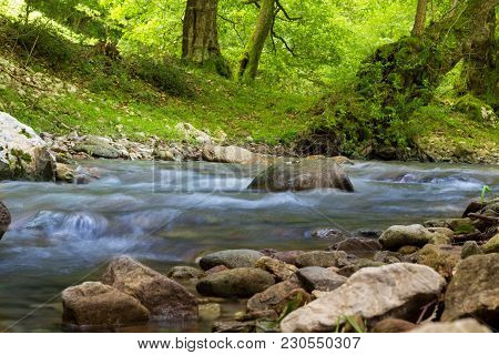 Rocky Mountain Stream With Green Forest In The Background