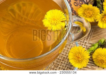 Fresh Coltsfoot (tussilago Farfara) Flowers With Coltsfoot Tea On A Table