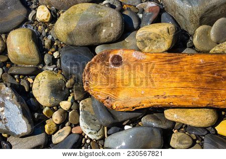 Driftwood, Washed Up By The Sea On A Pebble Beach On A Warm Summer Day