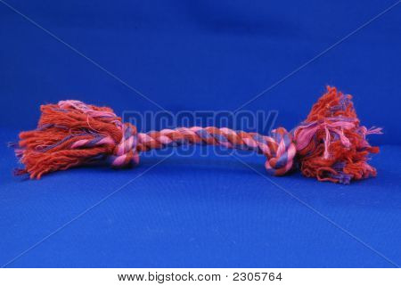 Corda tirata cane