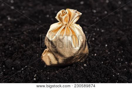 Golden Bag With The Money On The Ground.