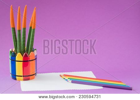 Colorful Cactus Sansevieria Velvet Touch, Rainbow Pencils, Working School Drawing Concept, Ultraviol