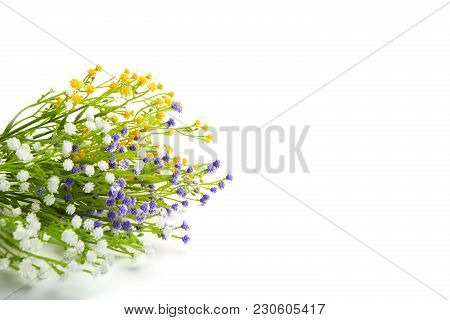 Colorful Flowers Isolated On White Background. Wildflowers.