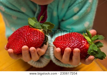 Small Hands Holding A Fresh Strawberry - Horizontally