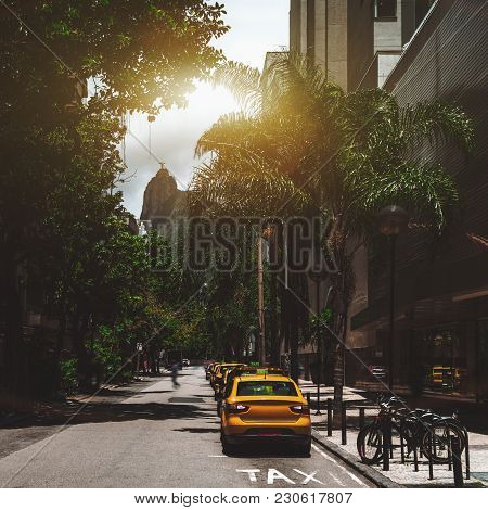 Row Of Yellow Vacant Taxi Cars On Street Of Rio De Janeiro In Brazil With Bicycles And Palms In The 