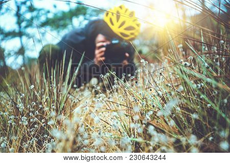 Photographer  Asian Men Travel  Nature. Travel Relax.  Nature Study In The Jungle. Eriocaulon Henrya