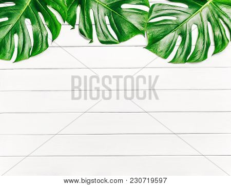 Frame Of Tropical Leaves Monstera On A White Wooden Background With Space For Text. Top View, Flat L