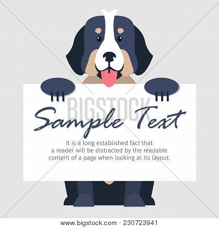 Cute Bernese Mountain Dog With Open Maw Holds Signboard With Text Isolated On Grey Background. Smart