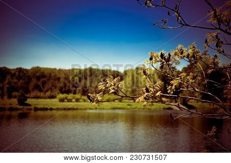 Beautiful Lake In The Park, Feofaniya Kyiv, Ukraine