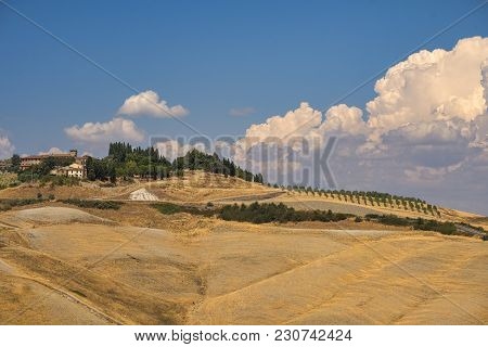 Country Landscape Along The Road From Asciano To Siena, Tuscany, Italy, At Summer