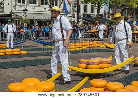 Alkmaar, Netherlands - April 28, 2017: Cheese carriers at traditional cheese market.