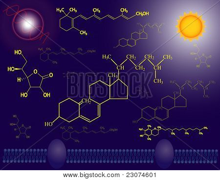 Vitamins