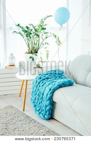 Part Of Modern Casual Living Room Decor With Grey Sofa, Bed Cover And Flower Pot