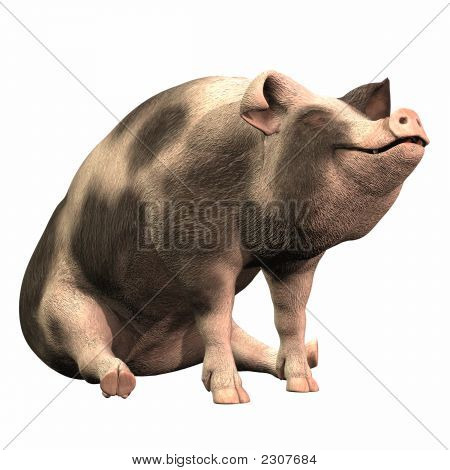 Pettyes Piggie