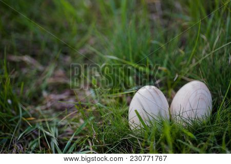 Two White Easter Eggs With A Branch Of Apricot In Green Grass. Easter Background. Search For Eggs At