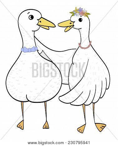 Couple Ducks, Goose In Love Illustration, Vector