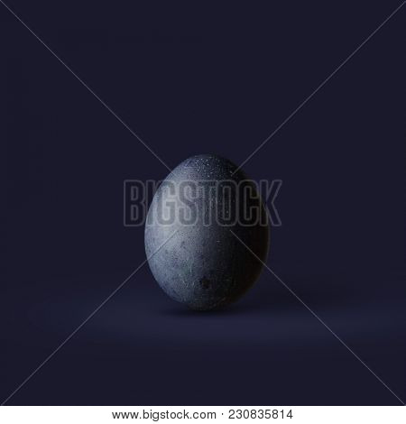 Dark blue easter egg isolated on dark background