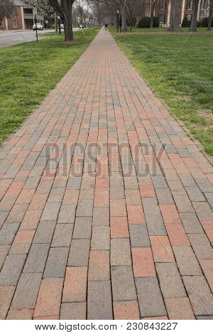 Brick Sidewalk Lined Street Of Campus And Town Is Scenic And Enjoyed By All With Trees Lining The Wa