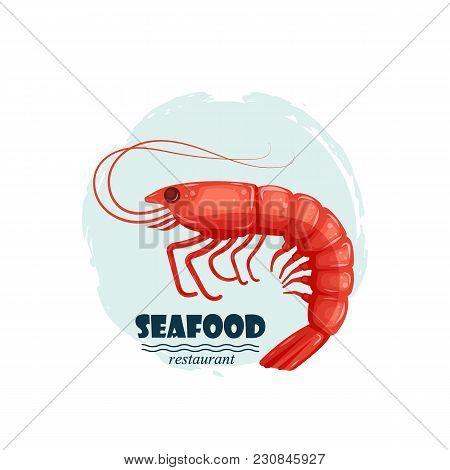 Red Shrimp Seafood Restaurant Label With Splash And Text Isolated On White Background. Sea Water Ani