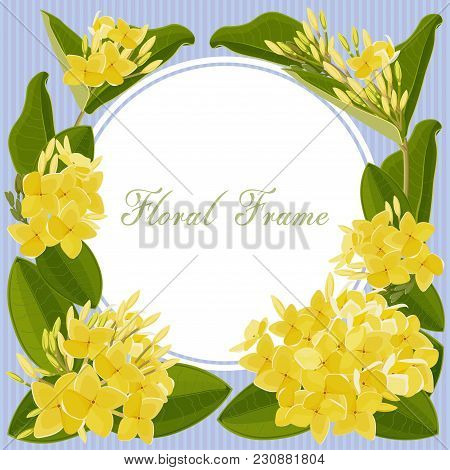 Card Beautiful Yellow Flowers Blue Background  Flower Frame